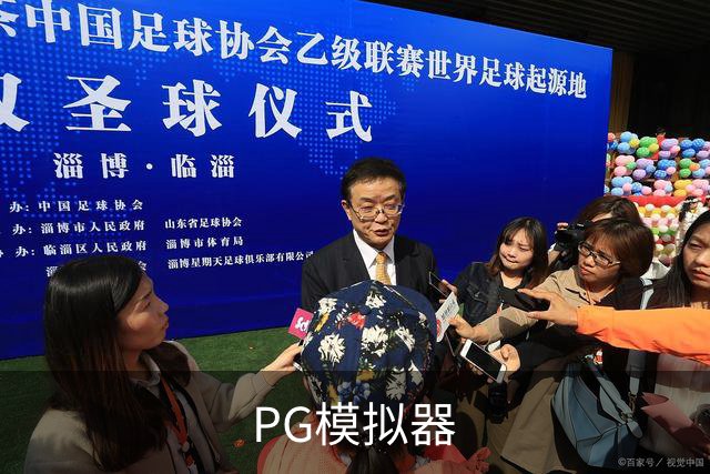 PG模拟器公司简介图片
